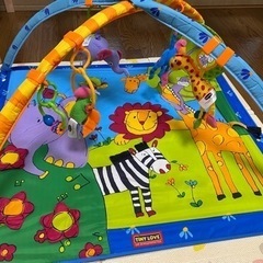 Tiny Love スーパーデラックス ベビージムの画像