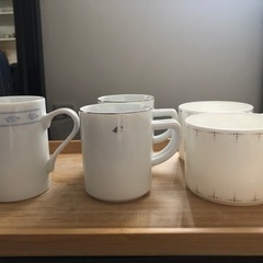 4℃ のカップ　