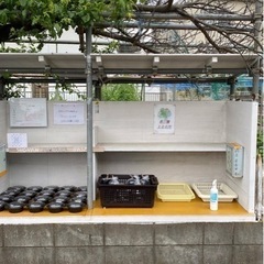 水草、めだか無人販売所　17日18日