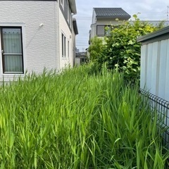 お困り事、お悩み事、何でもご相談下さい！！