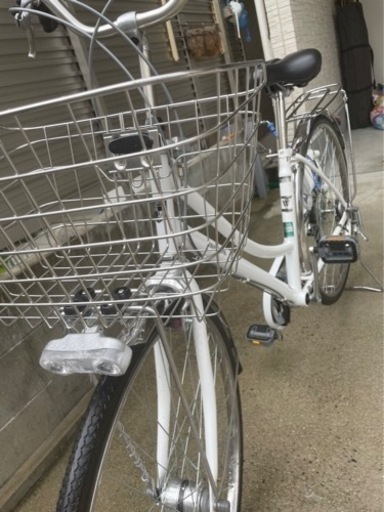 5ヶ月前に購入　