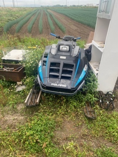 インディー500  ※青い方です　早い方優先にします。