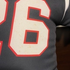 千葉ロッテ　非売品　ユニフォーム型クッションの画像