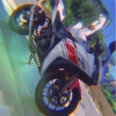 R25 低走行　カスタム多数　27日までの画像