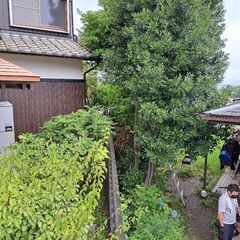 どうぞ～お任せください安い安心まごころ商会ですm(__)m北九州市内及び近郊の皆様 - 引っ越し