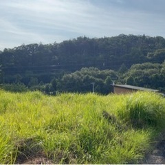 福島県白河市萱根金ヶ平 ＃97 不動産0円物件 - 土地販売/土地売買