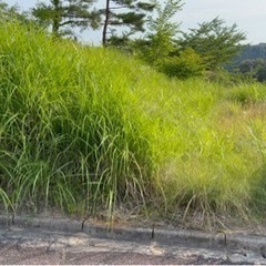 福島県白河市萱根金ヶ平 ＃97 不動産0円物件 − 福島県