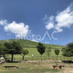 春日原始林･若草山(奈良県)  　月例公開ハイキング