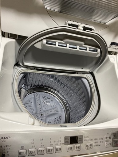 ※7/25 まで　✨超美品✨　SHARP 2019年　洗濯機　乾燥機