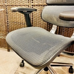 【売約済み】 エルゴヒューマン　ベーシック　basic  メッシュ　背面メッシュ　アルミポリッシュ　オフィスチェア　ヘッドレスト　取説付き　EH-HAM-HB-KM-10 EH-HAM　  検　座メッシュ KOKUYO ing コクヨ　イング　デスクチェア　OAチェア　事務椅子　ポリッシュ　OKAMURA オカムラ  Aeron Chairs ハーマンミラー hermanmiller アーロンチェア 　テレワーク　ランバーサポート　ハイタイプ　EHP-HAM 関家具 　pro プロ　在宅ワーク　腰痛の画像