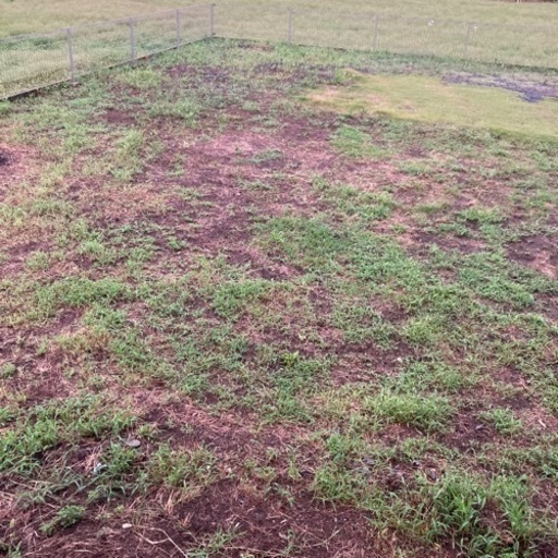 庭に砂利をひきたいです