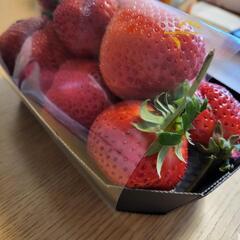 友達になりませんか！