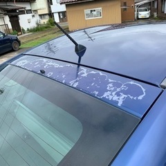 車検付き　令和5年1月まで　30プリウスの画像