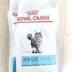 ロイヤルカナン「スキン＆コート」２kg  ※キャットフード/新品未開封