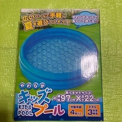 ビニールプール。