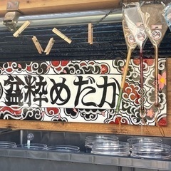 今週は体外光祭り‼️ めだか無人販売メダカ