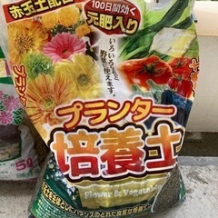 取引中の画像