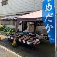 浴衣、帯、着物、反物、各種生地色々あります。 ミックスメダカ30...