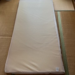 2枚セット　トゥルースリーパー　シングル