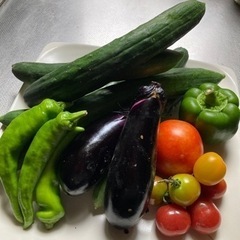 🌟ありがとうございました🌟夏野菜お得セット🌸6〜7種類🌸数量限定です。