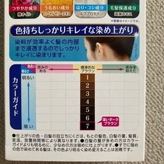 【まとめ買い割あり】未開封　サロンドプロ　白髪染めの画像
