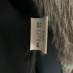 SAGAFOXの画像