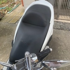 YAMAHA  マジェスティー　250cc  の画像
