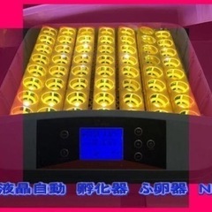 LED 鳥類専用孵卵器　ふ卵器　孵化器　ふ化器　インキュベーター...
