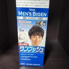 メンズビゲン　ワンプッシュ6s　ヘアーカラー