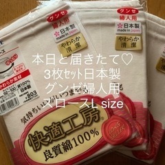 【3枚ｾｯﾄ2,400円➡︎明日限定2,300円】【新品届きたて...