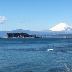 湘南日本酒の会