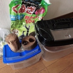 カブトムシ　虫かご、飼育セット‼️