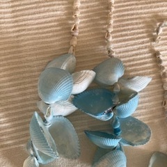 貝殻　飾り　お皿の画像