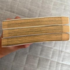 漫画　女子柔道部物語　1〜3セットの画像