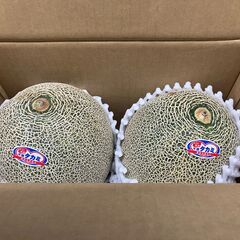 最終処分です。特秀品 5L いいおか タカミメロン2玉で2200...