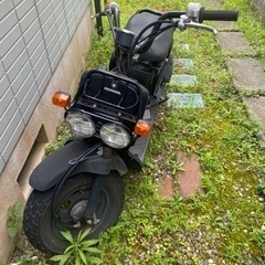 ホンダ　ZOOMERの画像