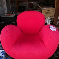 クビレディの画像