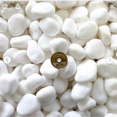 庭石に使う白い小石譲ってください