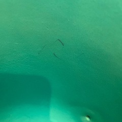 バンボの画像