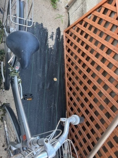 アルベルト自転車