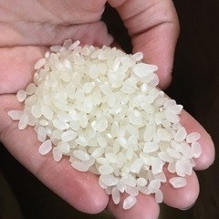 玄米30kg  4袋　最終の残りです。