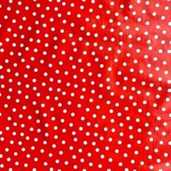 メキシコ◆オイルクロス ＊赤地白ドットの画像