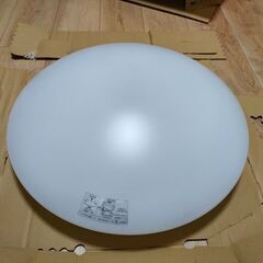 大光電機 LED照明 YDCL-008G 2019年製