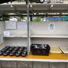 メダカ　水草無人販売所　　次回31日