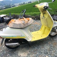 ンダタクト　クレージュ　クレタク　ＡＦ０９　実働走行可　希少黄色　ノーマル　旧原付の画像