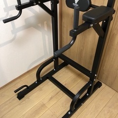 STEADY 懸垂マシンの画像