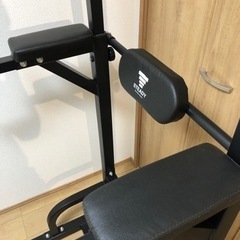 STEADY 懸垂マシンの画像