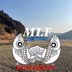 メダカ　バケツ30セット　500円から②の画像