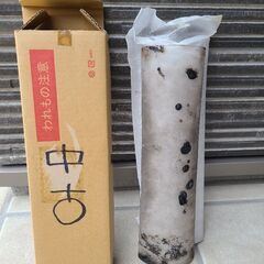 【４点セット価格】 リンナイ 荒磯用(RGA) ガス赤外線バーナーユニット R-420-7 ガス赤外線バーナー耐熱ガラスR-420-7対応 グリラー 焼き物器 焼台 荒磯 ガス式 赤外線  下火用　Rinnai 業務用  の画像