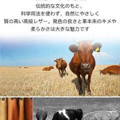 本革楽ちんサンダル22.5cmの画像